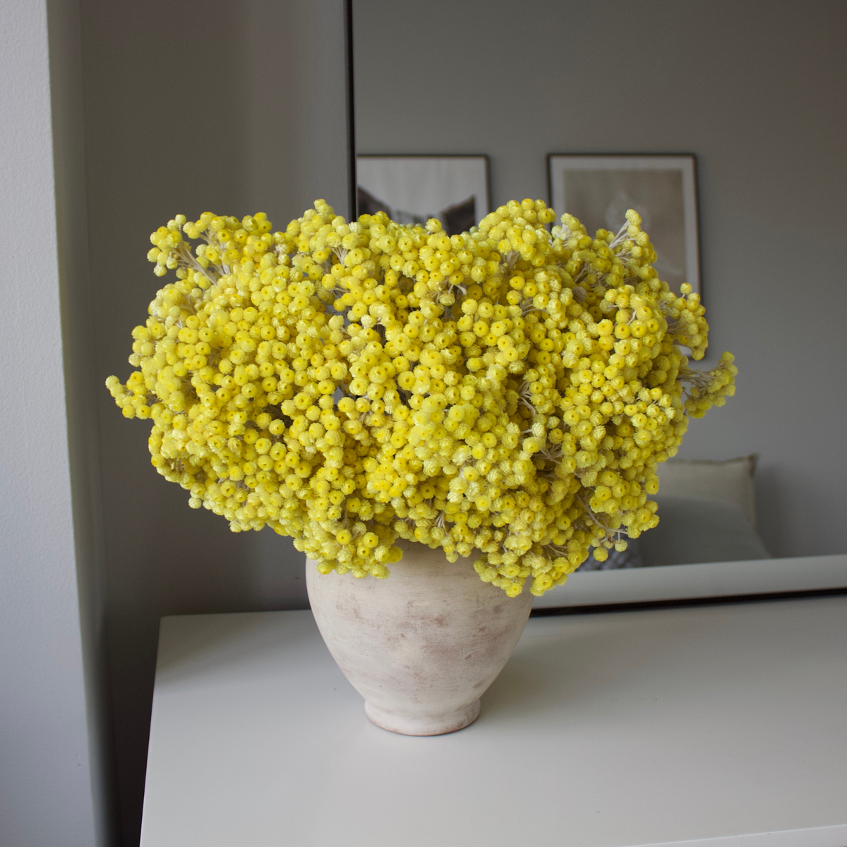 The Aureum by Eos Blooms: golden Helichrysum in a white vase, perfect for home decor.