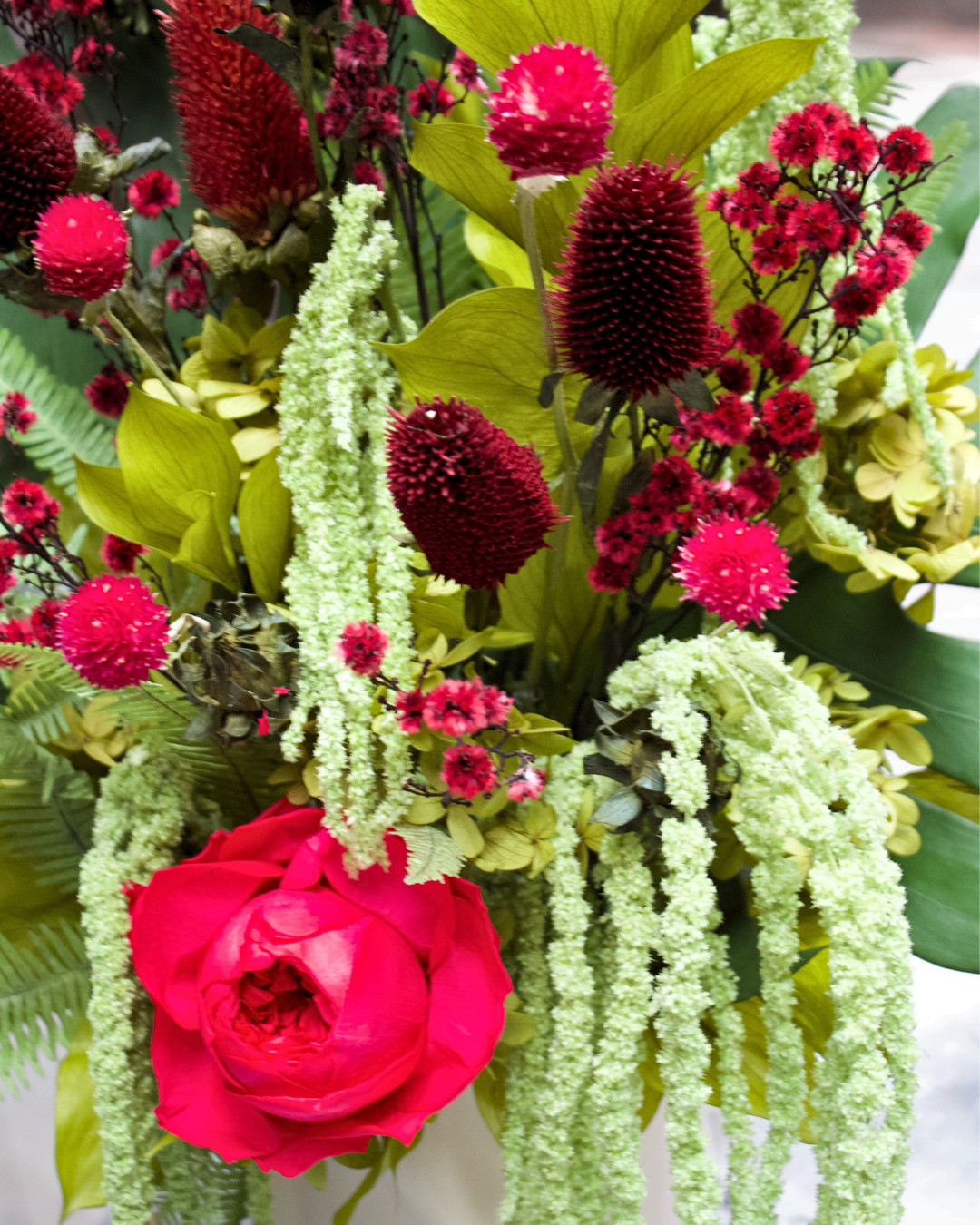 The Paradiso | Jacob & Co.