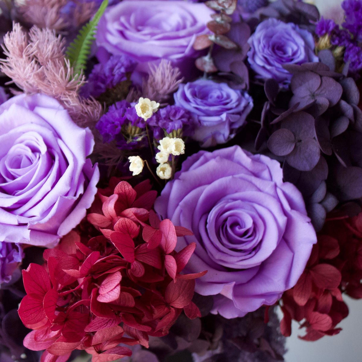 Ultraviolet by Eos Blooms: Forever Roses with red hydrangeas and purple blooms arranged vibrantly.