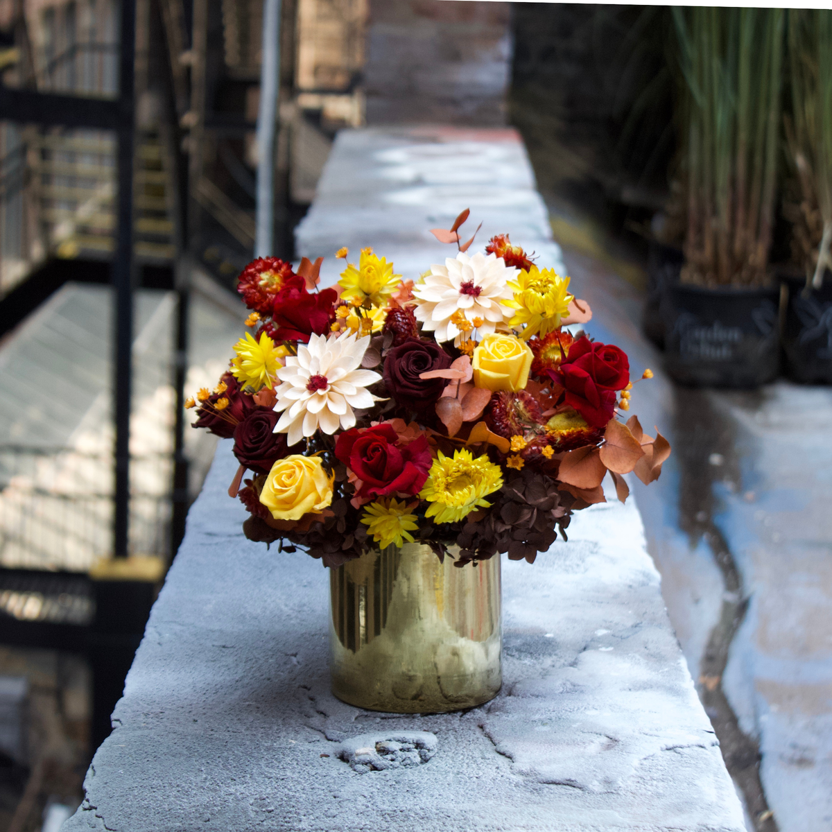 The Golden Hour (Petite) by Eos Blooms sits on a concrete ledge in autumn colors.