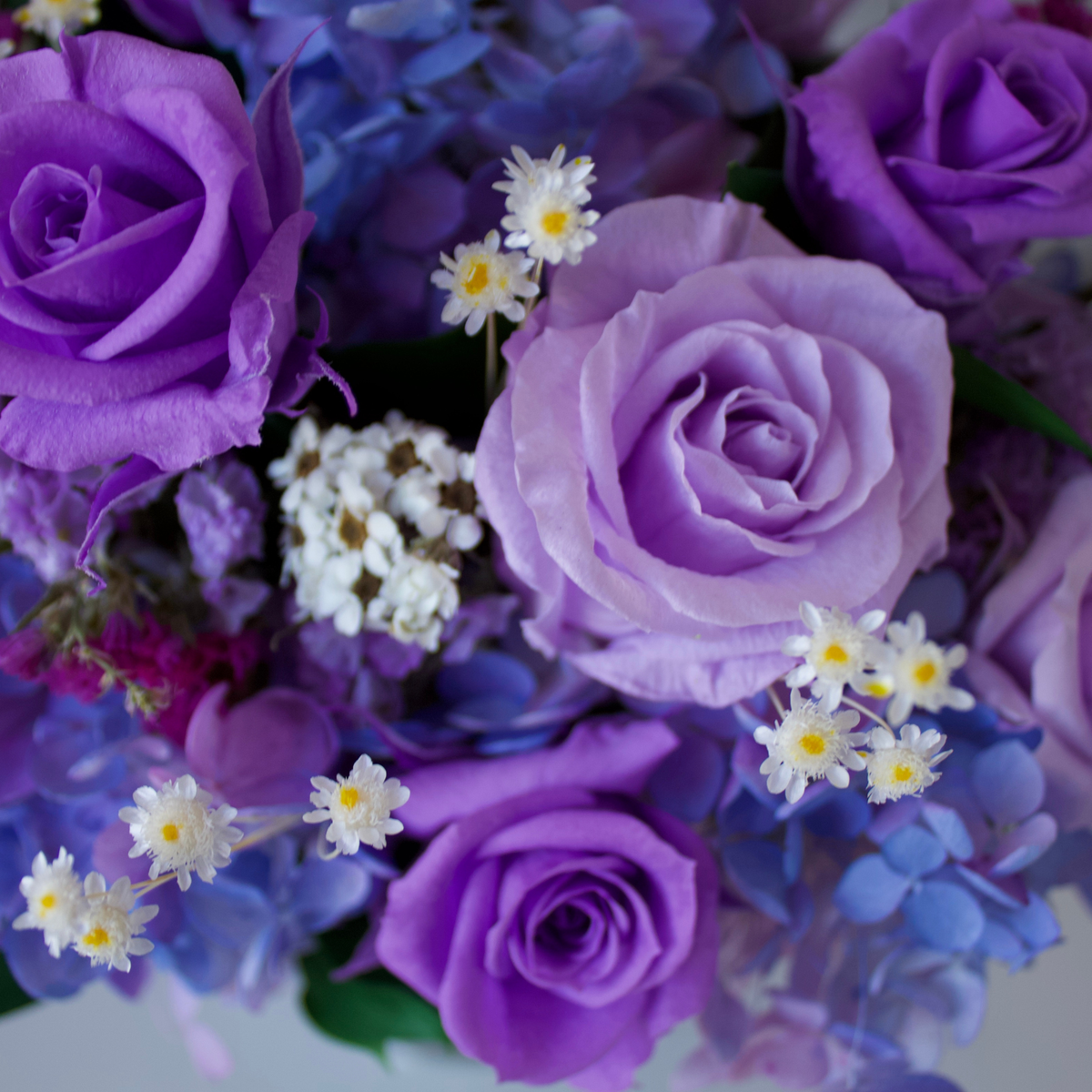 The Liminal (Petite) by Eos Blooms: preserved purple roses, hydrangeas & white blooms.