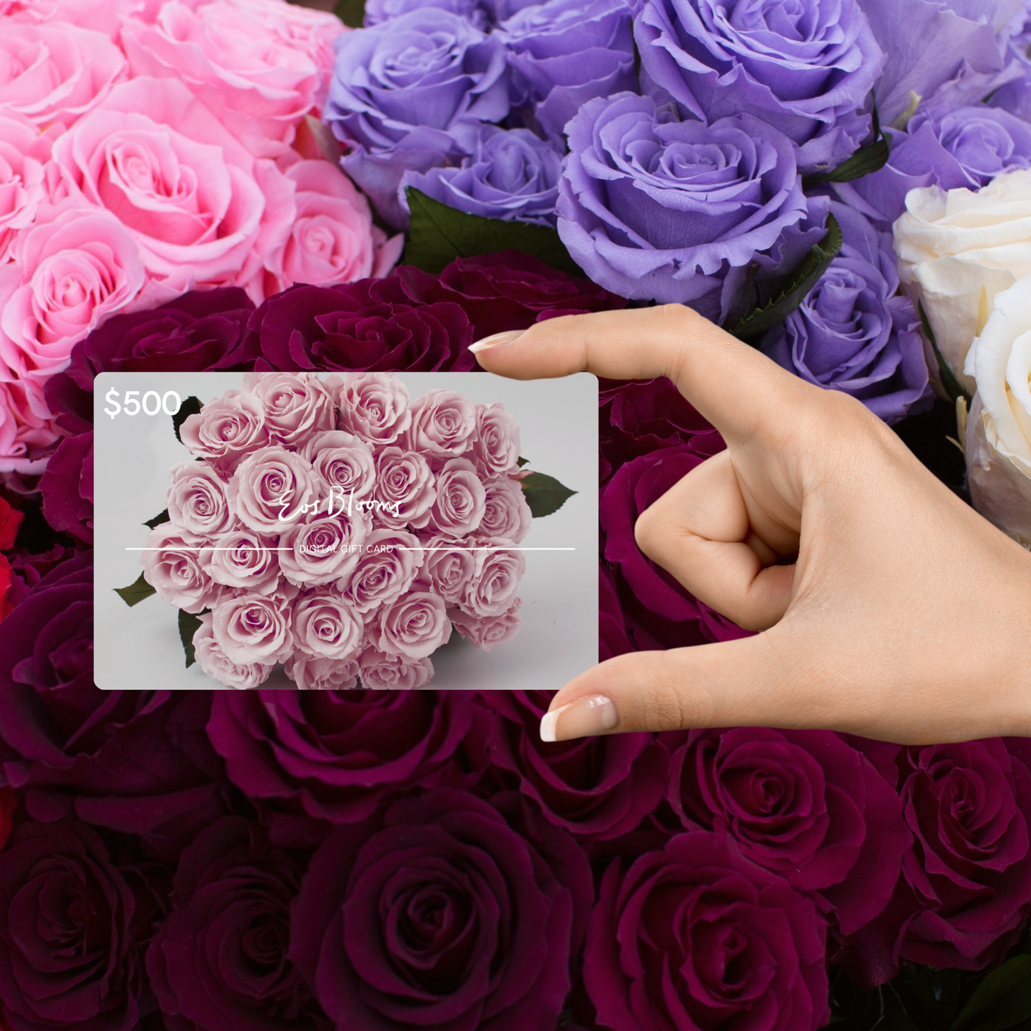 A hand holds an Eos Blooms Digital Gift Card among pink and colorful roses.