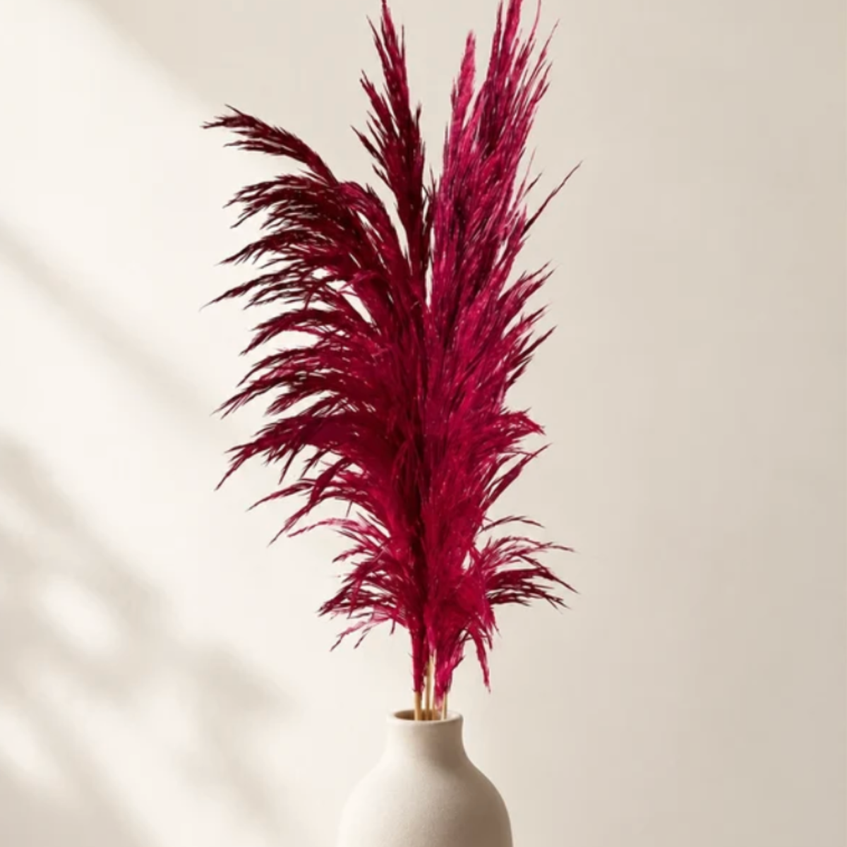 Preserved XL Pampas by Eos Blooms brings vibrant color to any modern home decor.