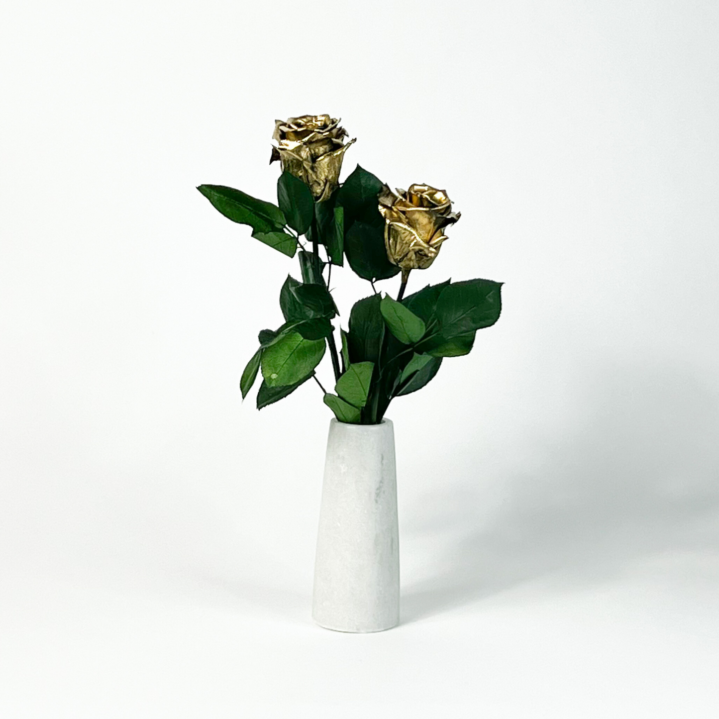 Luxe Duo by Eos Blooms: two forever roses with green leaves in a simple white vase.
