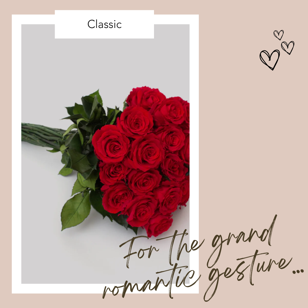 The Eos Blooms Valentine's Day Gift Guide