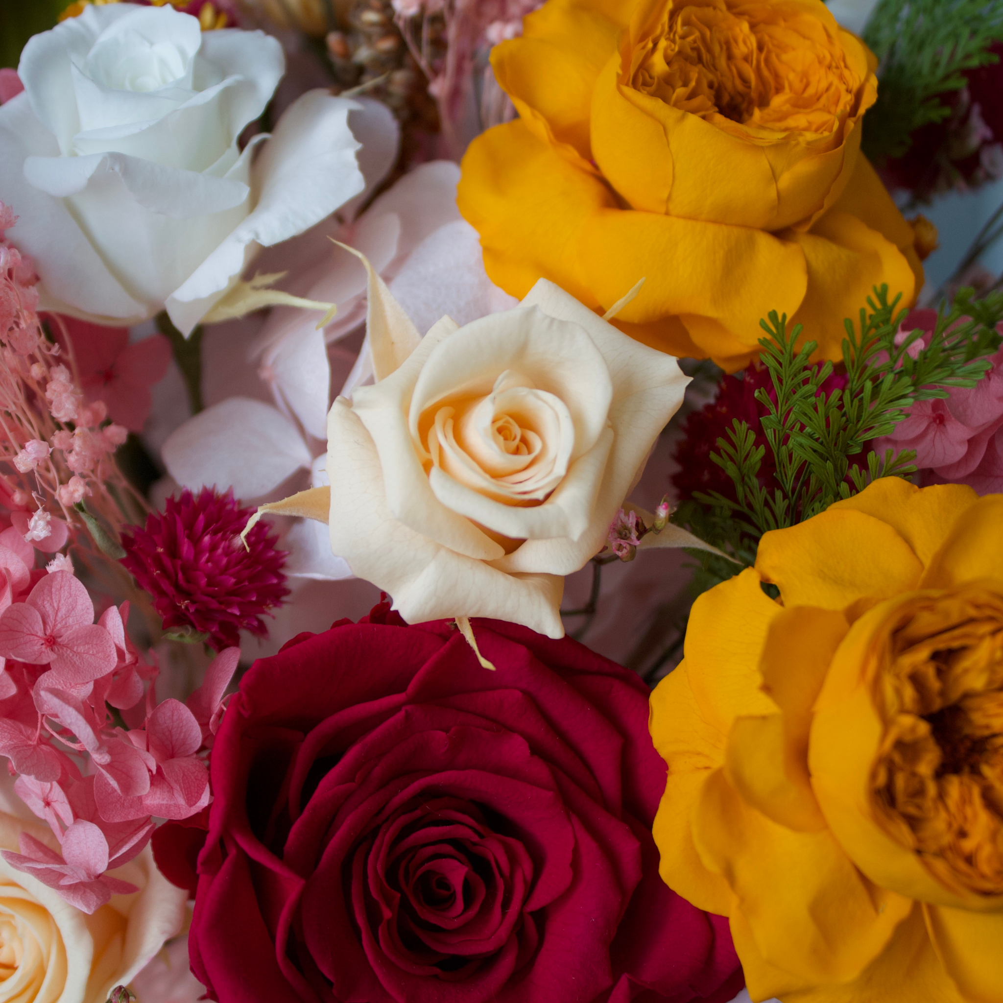 Forever Marigolds