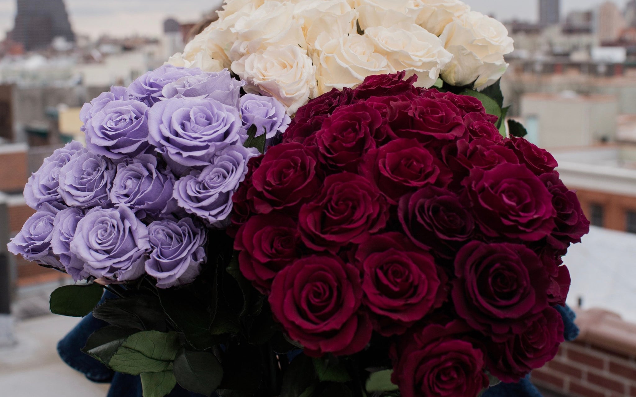 Eos Blooms - Blooms That Last Forever