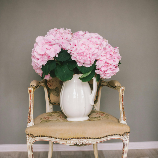 Preserved Hydrangeas