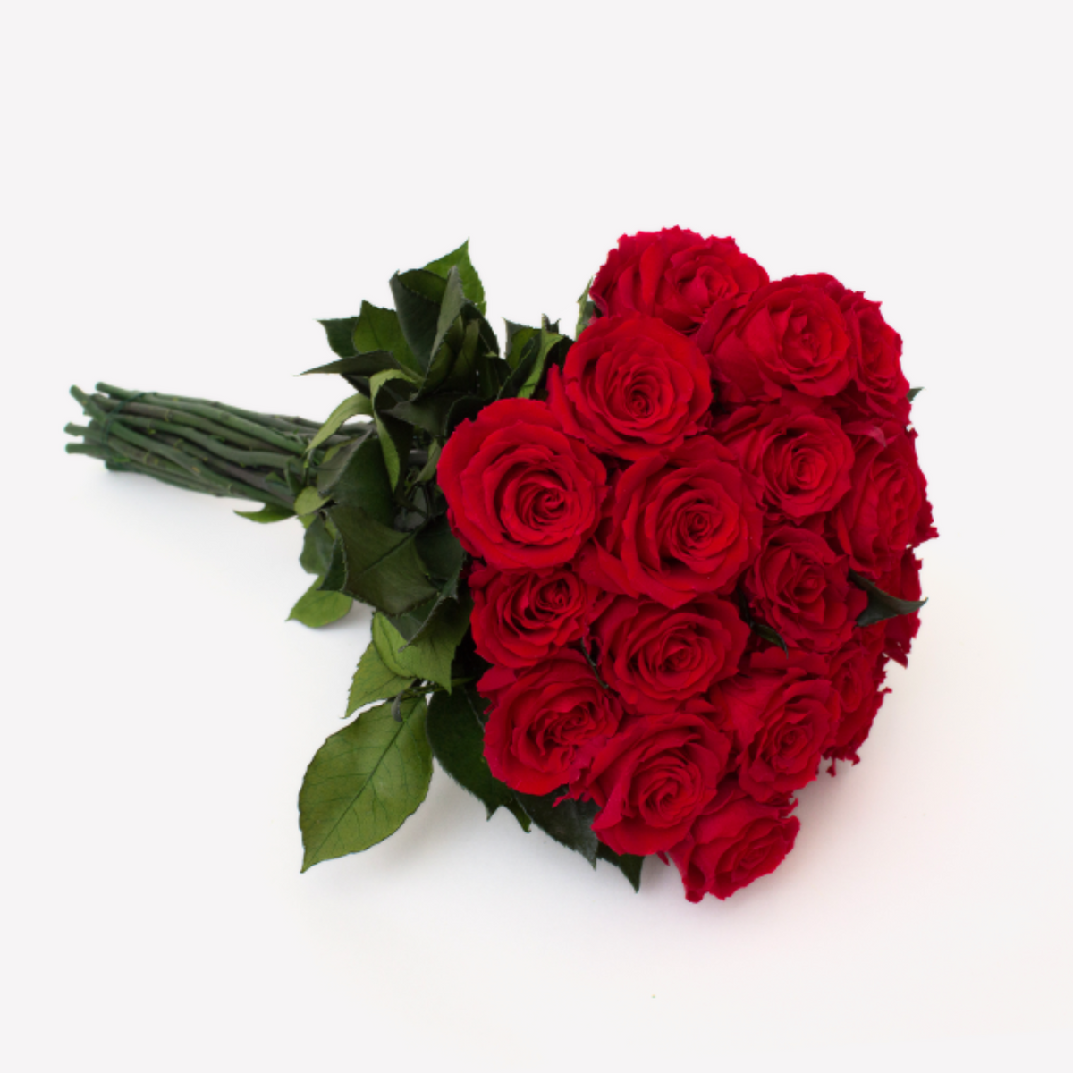 Love Story by Eos Blooms: romantic long-stem roses with green leaves on white background.