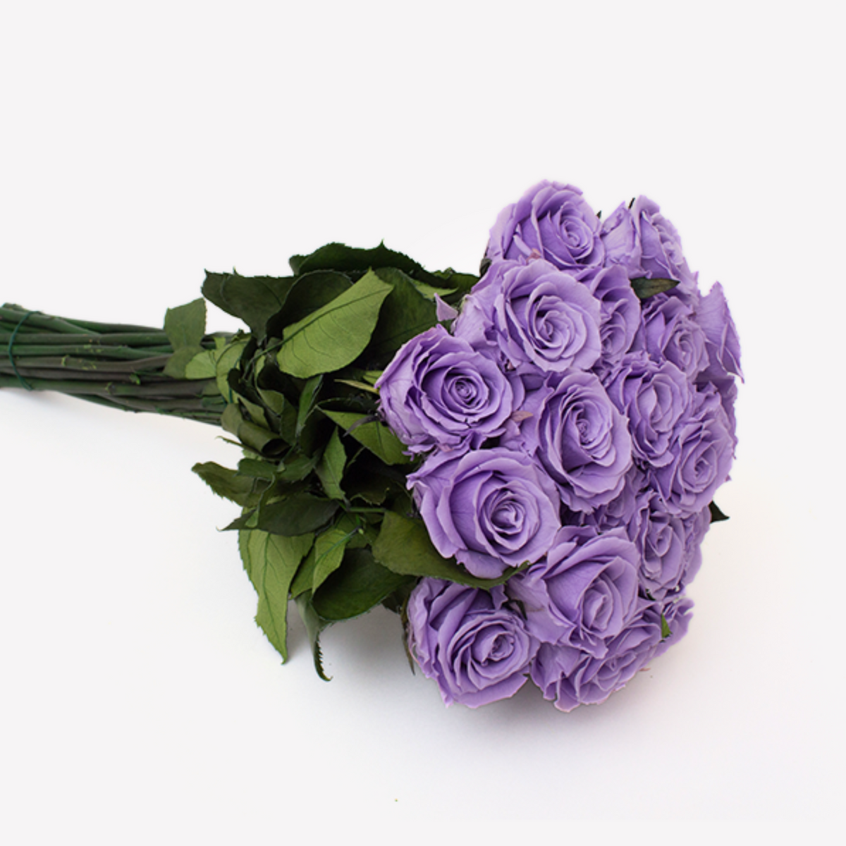 Eos Blooms Love Story: preserved purple roses with green leaves on a white background.