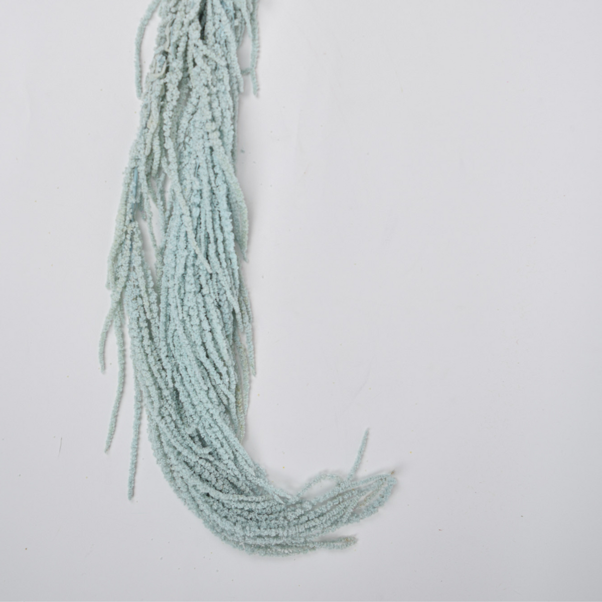 Eos Blooms Add a Touch of Hanging Amaranthus in light blue, shown on a white background.