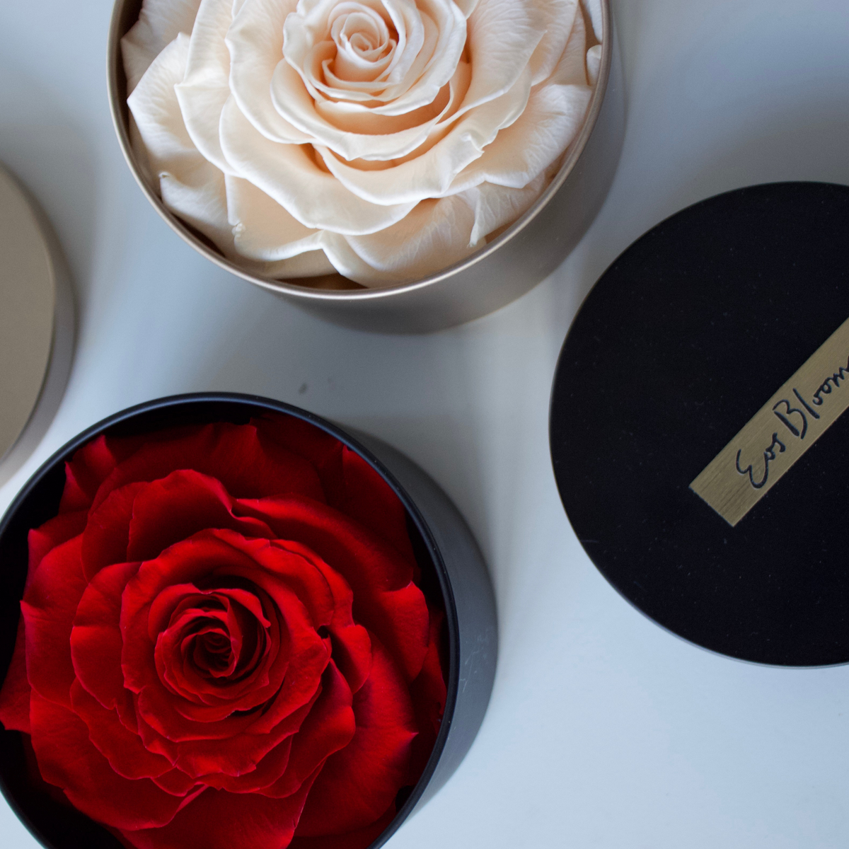 The Signature Luxe by Eos Blooms: a white and red preserved rose in round boxes, seen from above.
