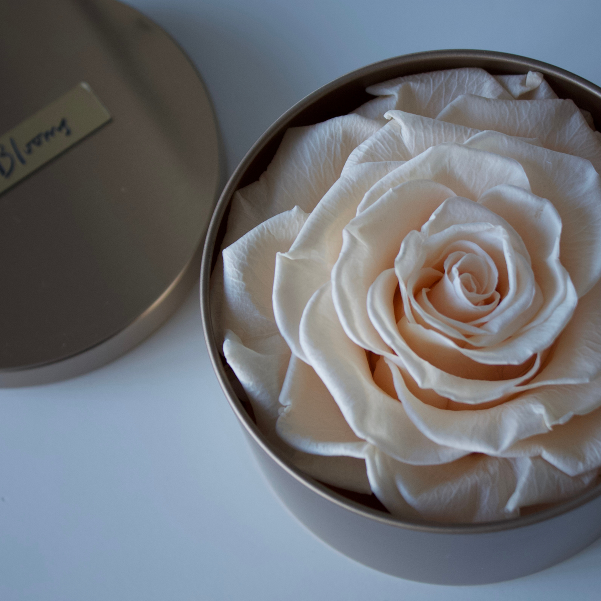 The Signature Luxe by Eos Blooms: a large preserved rose in a round beige gift box.