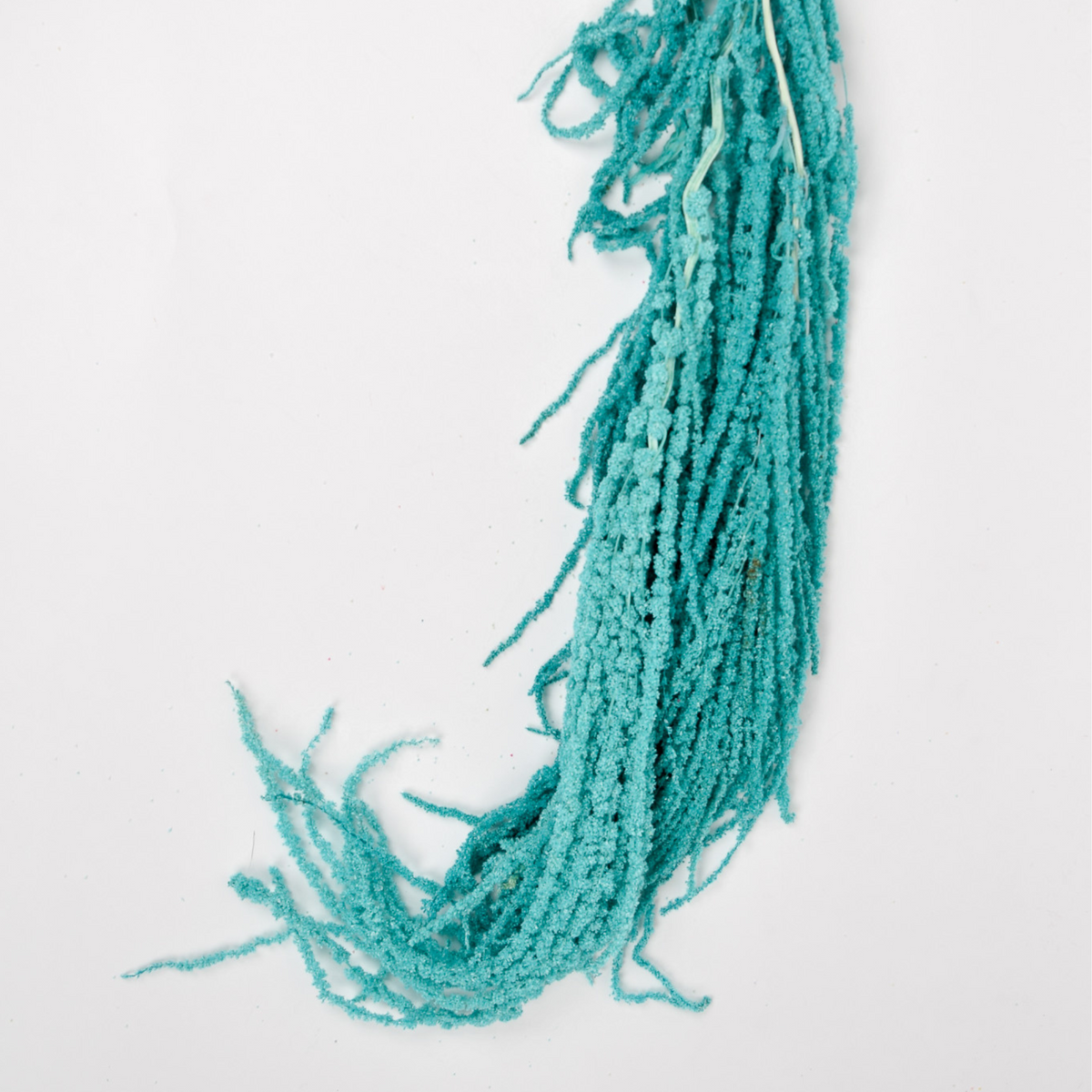 Eos Blooms’ Add a Touch of Hanging Amaranthus: turquoise, fuzzy blooms artfully arranged.