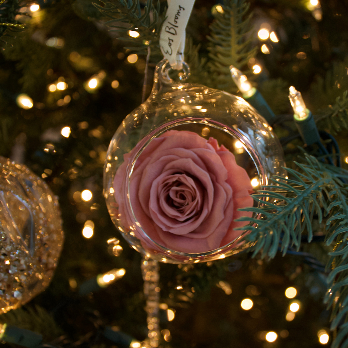 A Glass Ornament from Eos Blooms’ 4-Pack glows on a Christmas tree with a pink preserved rose.