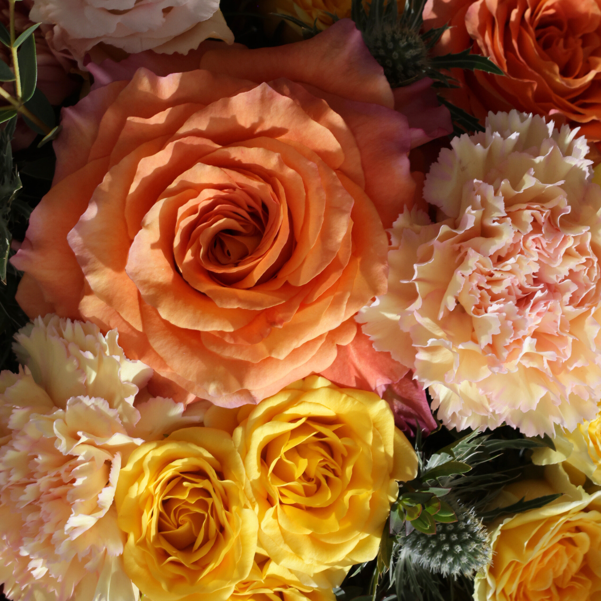 The Sunburst by Eos Blooms: honey-yellow roses & peach carnations glowing in sunlight.