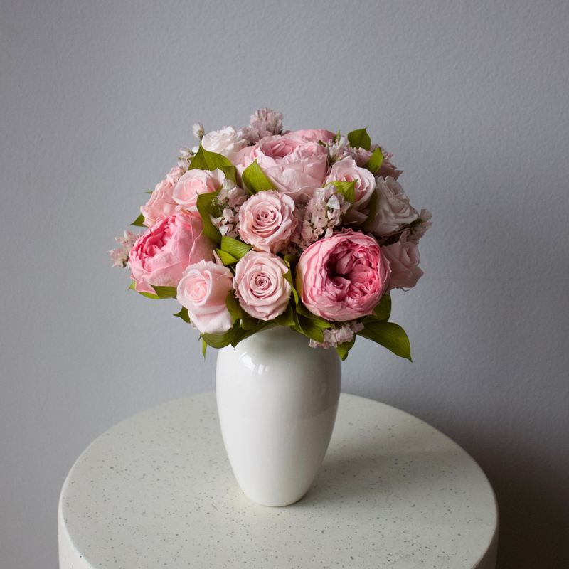 The Paloma | Heirloom Pink Preserved Garden Roses