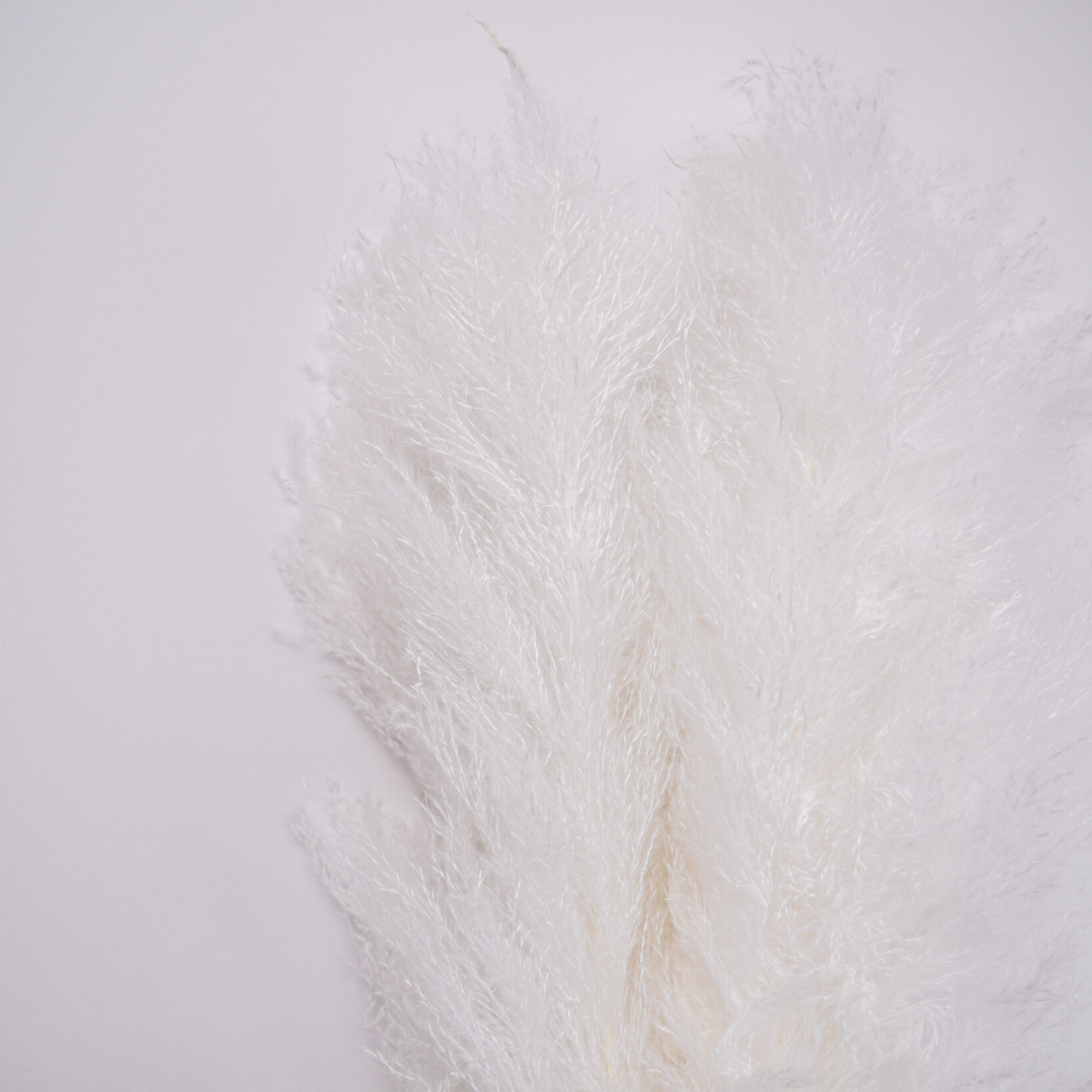 Close-up of Eos Blooms Preserved XL Pampas, ideal for elegant home decor.