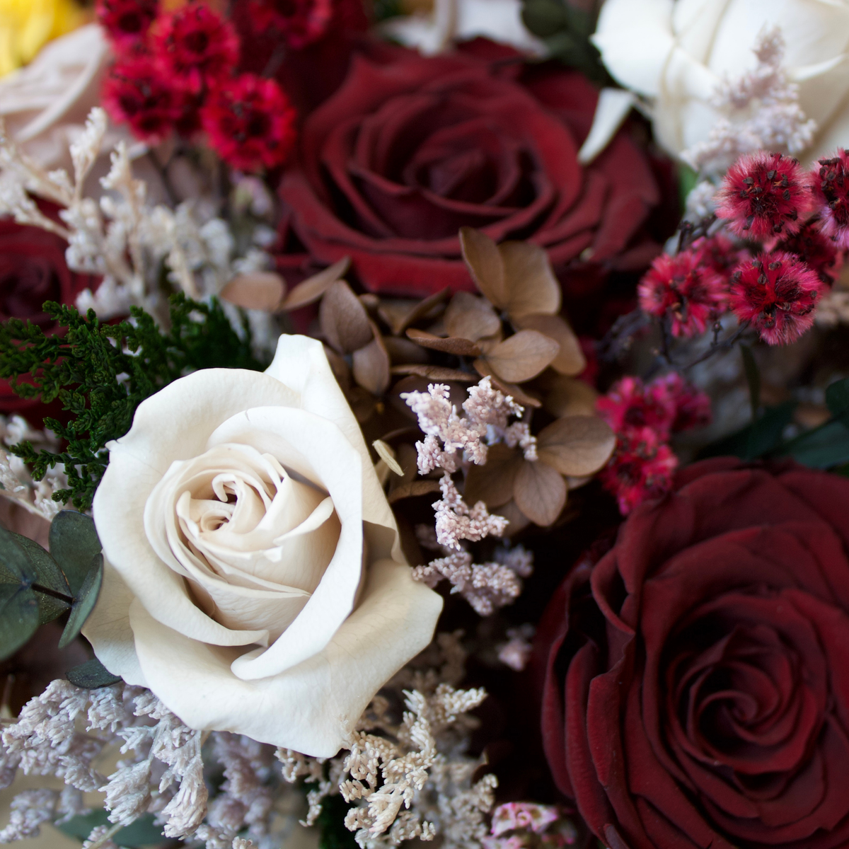A close-up of Eos Blooms’ Midnight Forest (Petite) bouquet with cream and red Forever Roses.
