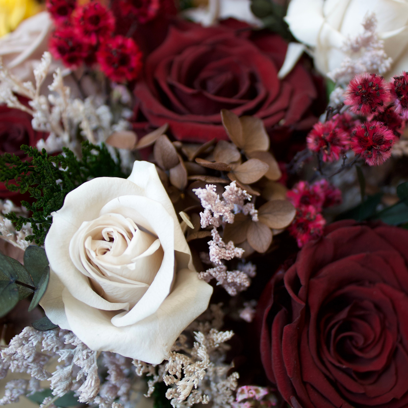 Midnight Forest (Petite)