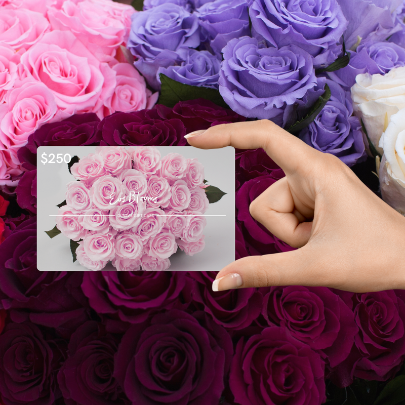 Digital Gift Card