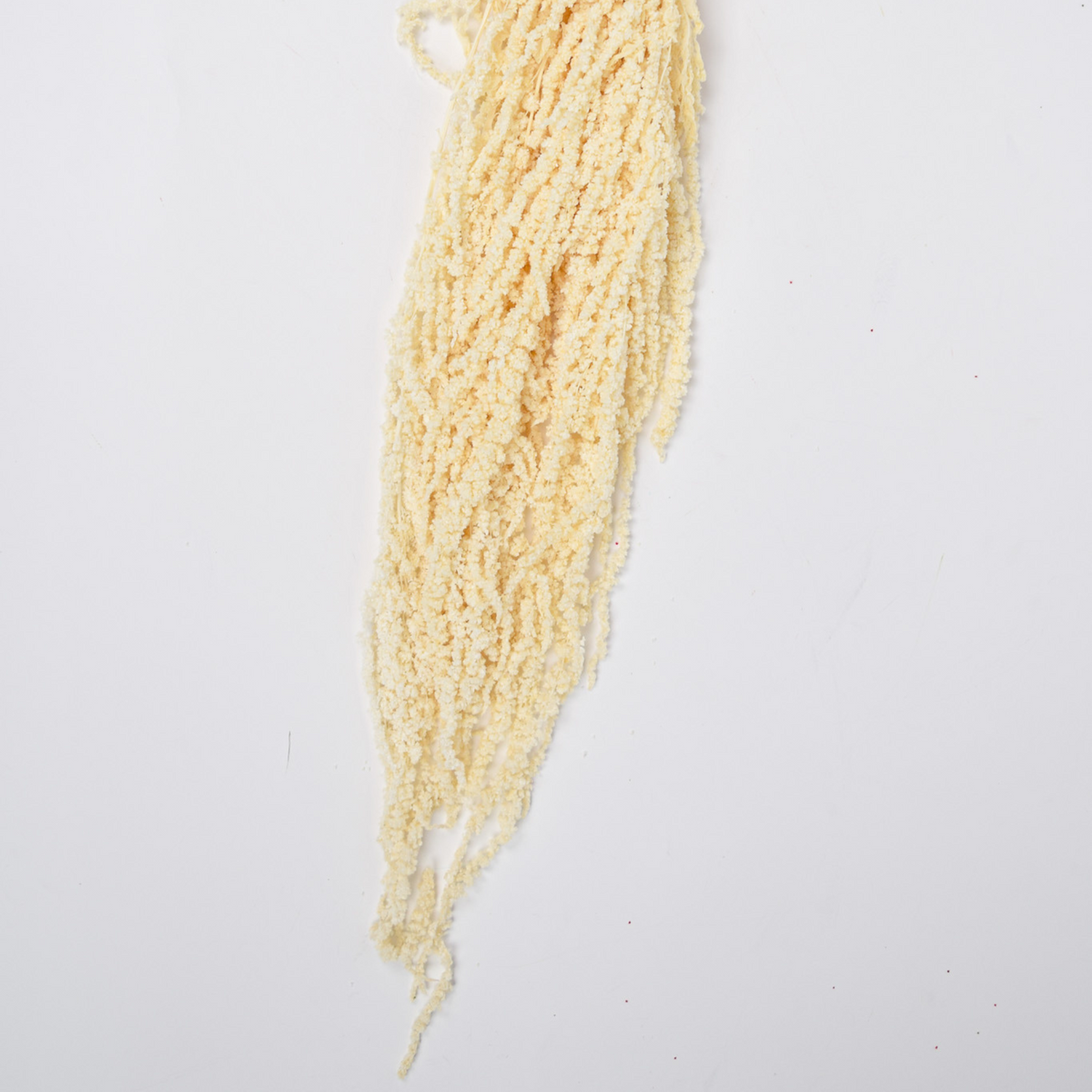 Eos Blooms' Add a Touch of Hanging Amaranthus, with natural texture, on a white background.