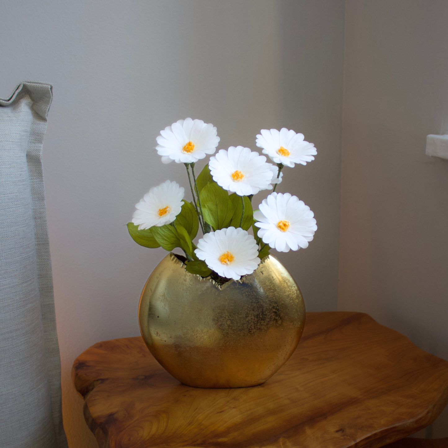 The Margarita | Preserved Daisies