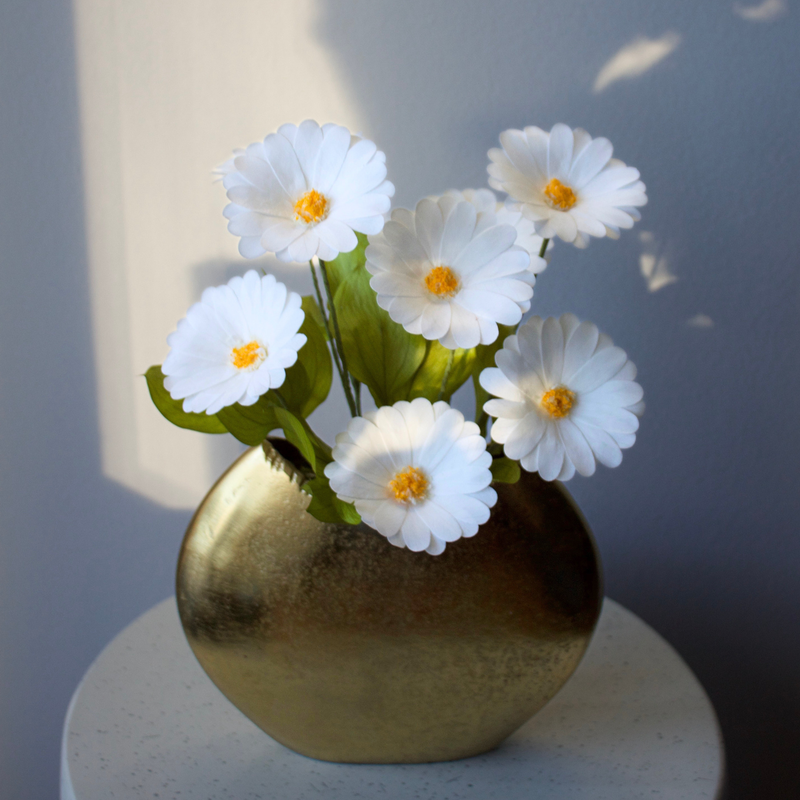 The Margarita | Preserved Daisies