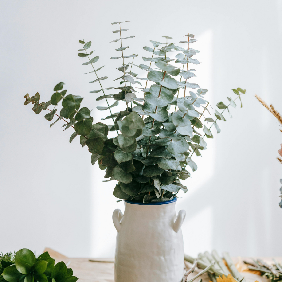 Eos Blooms Preserved Eucalyptus displayed in a white vase on a light wooden table.