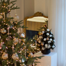 Mini Preserved Tree