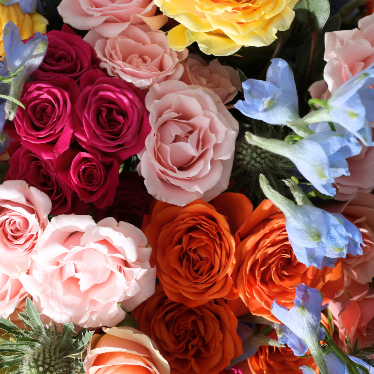 A colorful bouquet of pink, orange, yellow roses and light blue flowers.