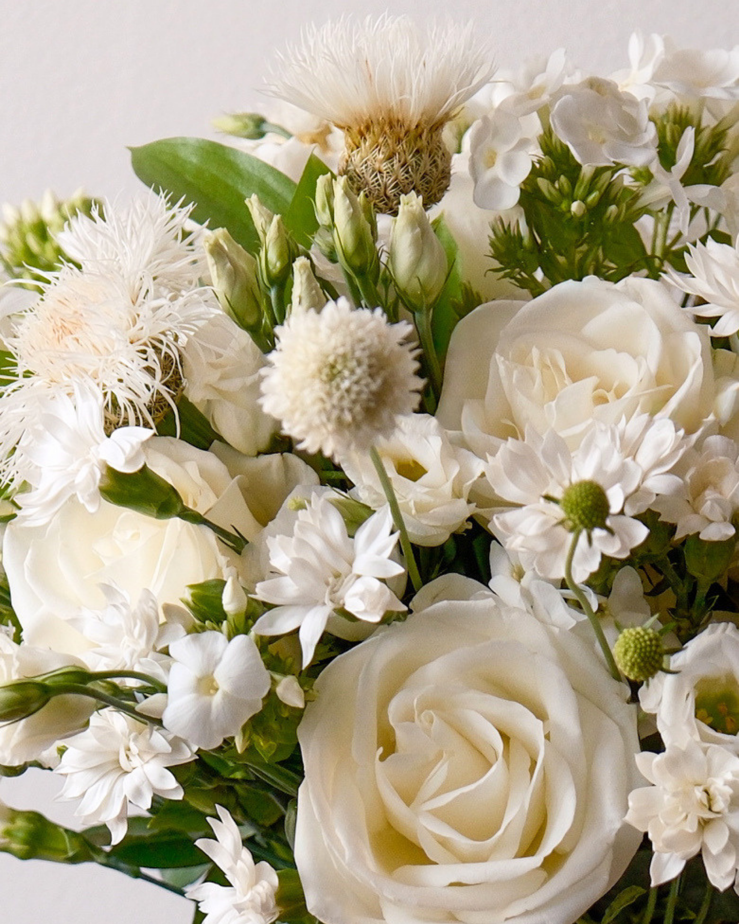 The Blanche by Eos Blooms: ivory garden roses, daisies & greens in a charming arrangement.