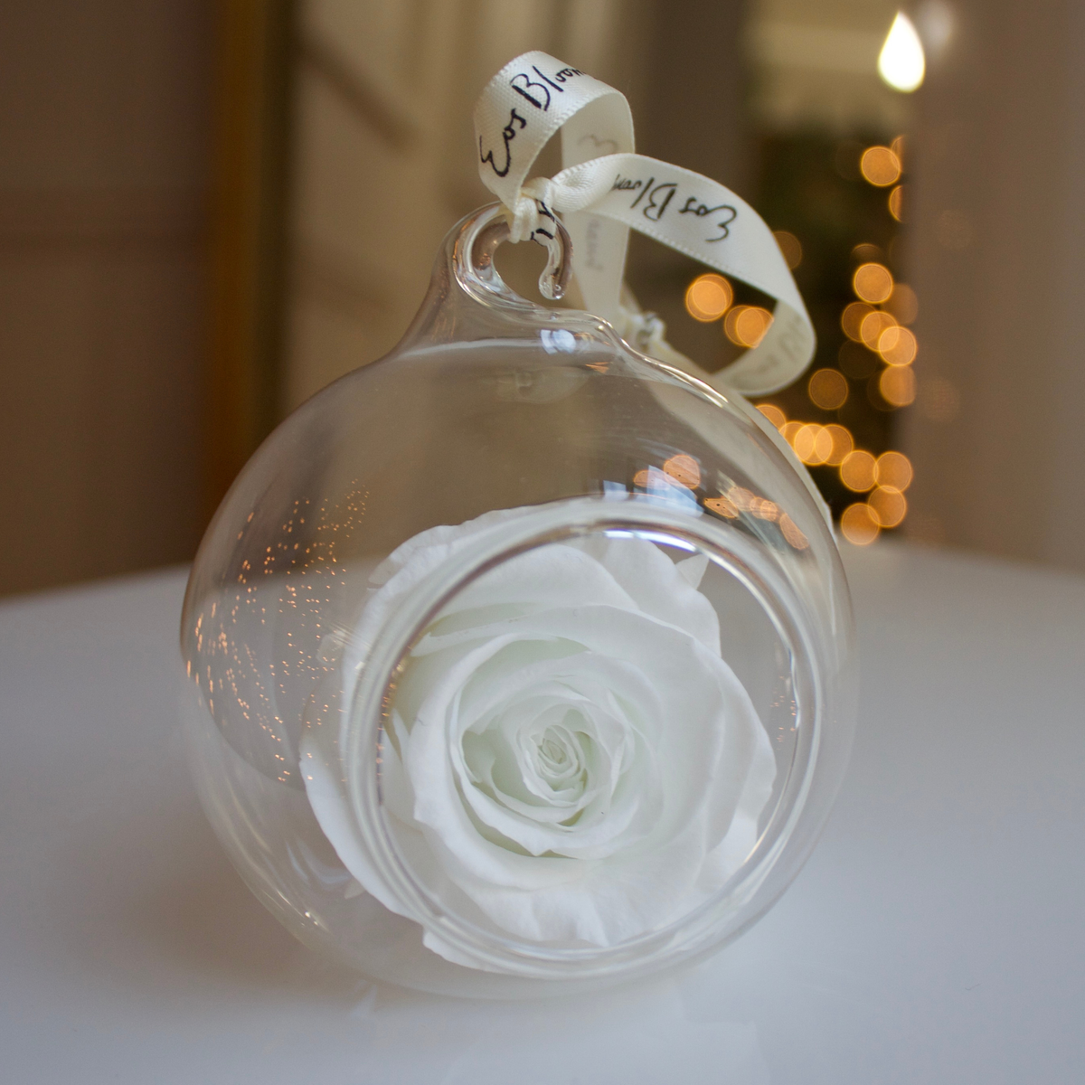 Eos Blooms Glass Ornaments | 4-Pack: white rose in glass with ribbon, festive holiday decor.
