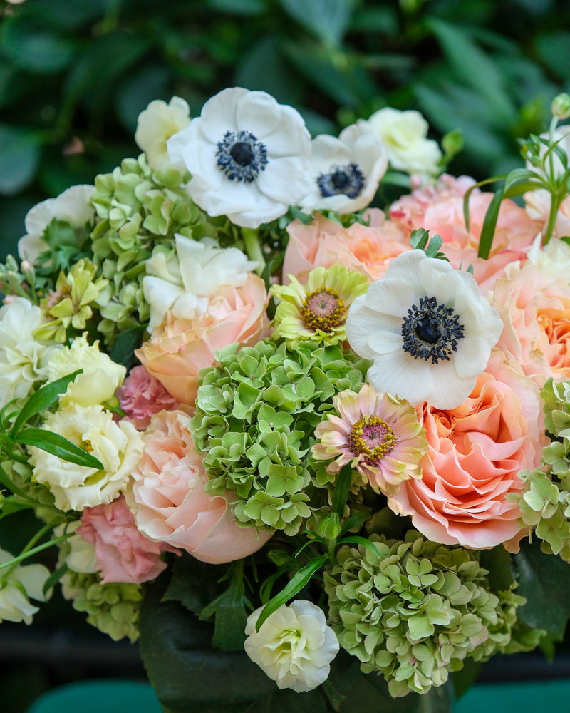 The Virgo ♍ by Eos Blooms: white anemones, pink roses & green hydrangeas.