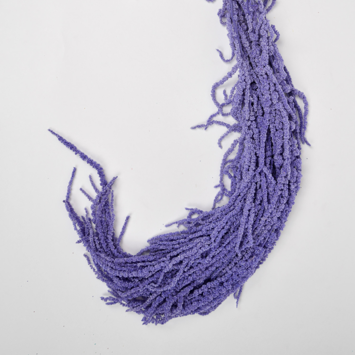 Add a Touch of Hanging Amaranthus by Eos Blooms with purple texture on a white background.