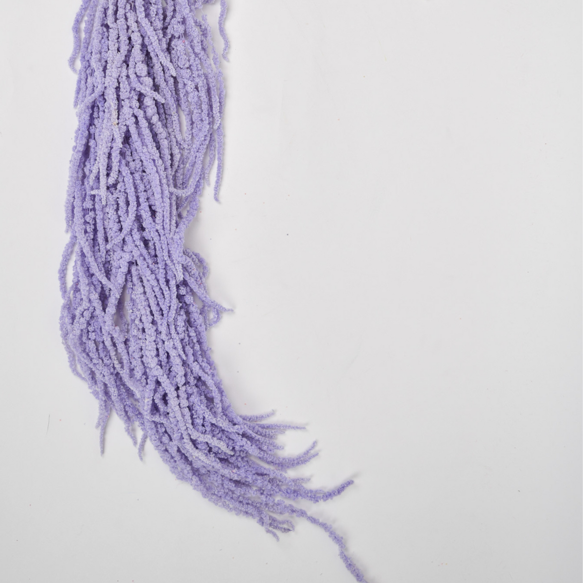 Add a Touch of Hanging Amaranthus by Eos Blooms brings unique texture to long, thin purple blooms.