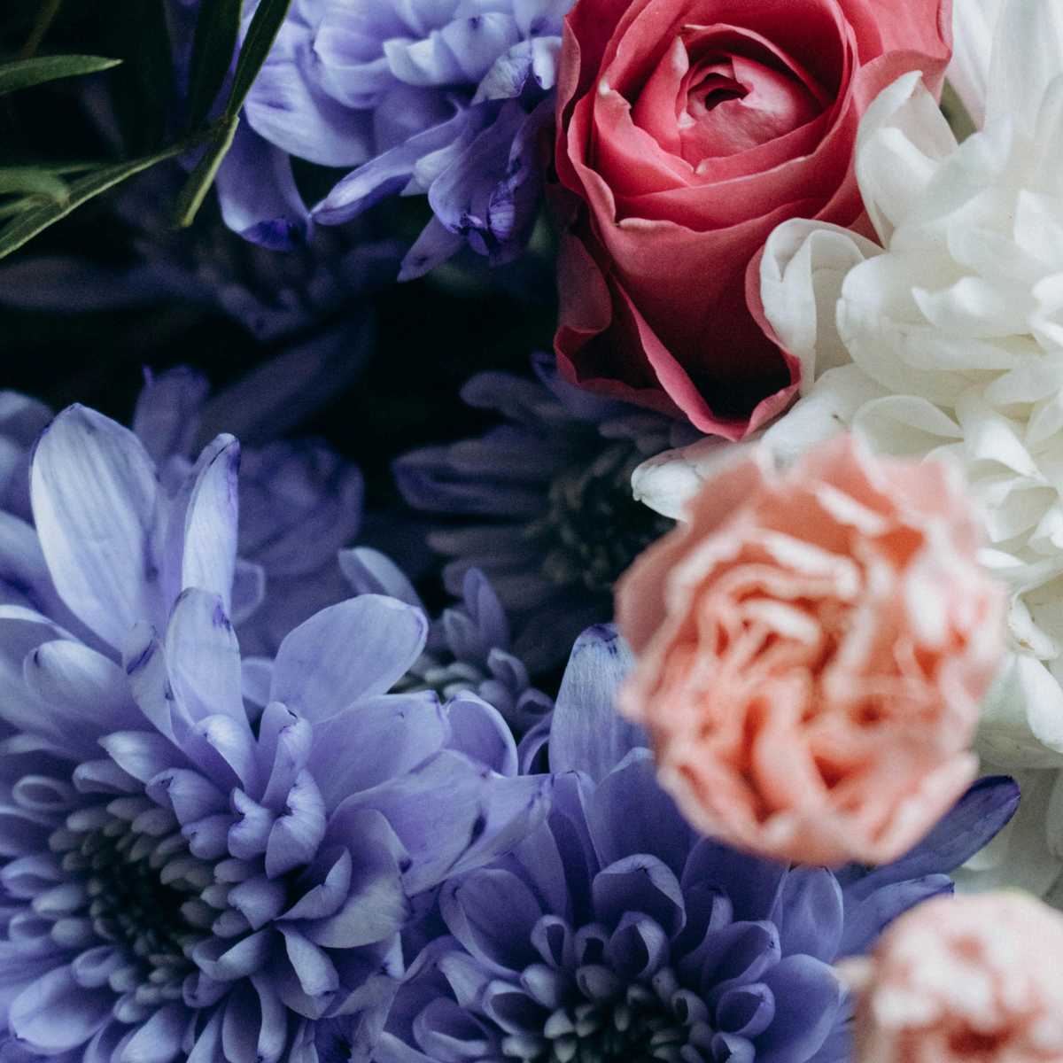 Close-up of NYC bouquets from Eos Blooms' Fresh Flower Subscription in vibrant colors.