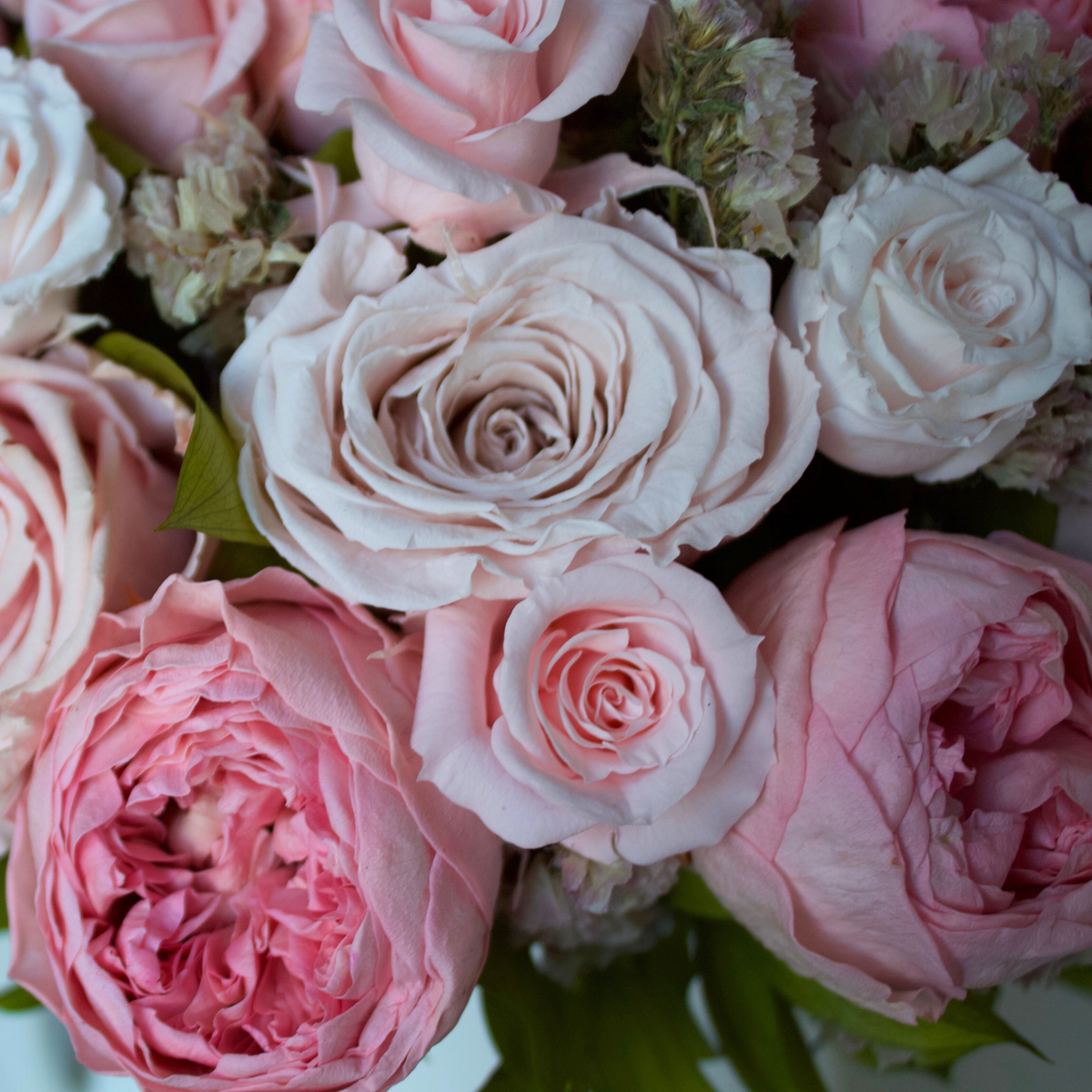 The Paloma by Eos Blooms: close-up of pink and white preserved roses with green leaves.