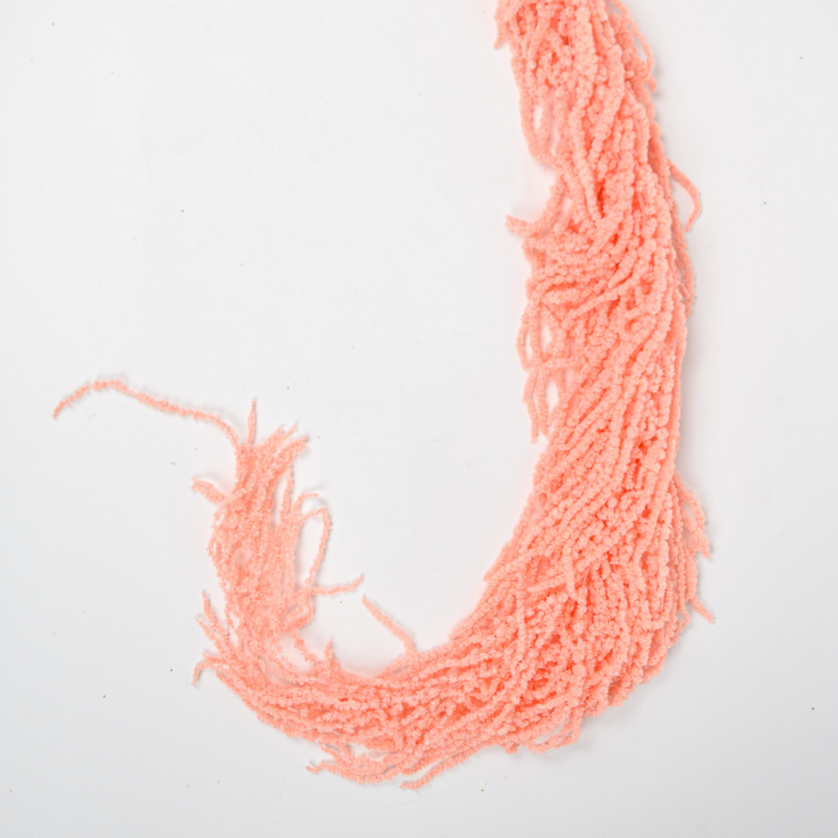 Eos Blooms Add a Touch of Hanging Amaranthus in pink, softly curved against white.