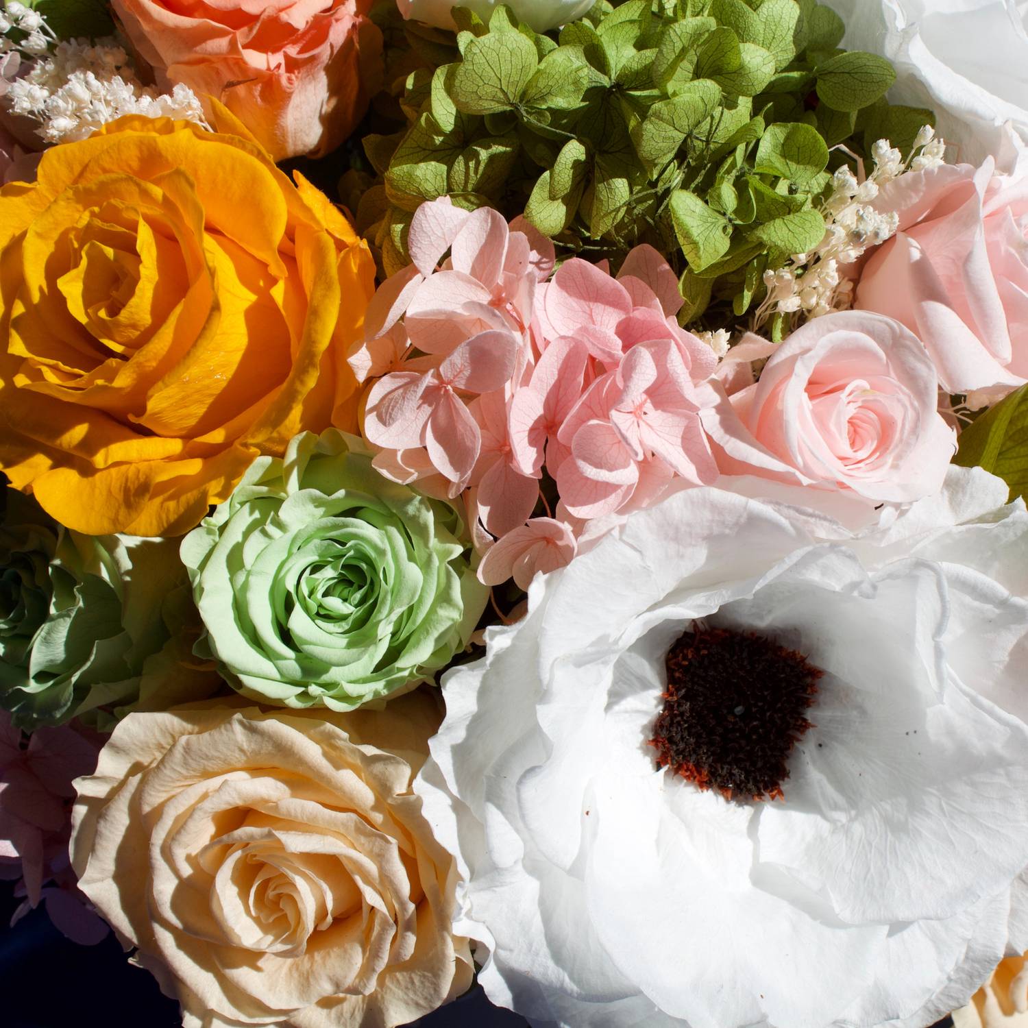 A close-up of colorful flowers, including roses, hydrangeas, and a white anemone.
