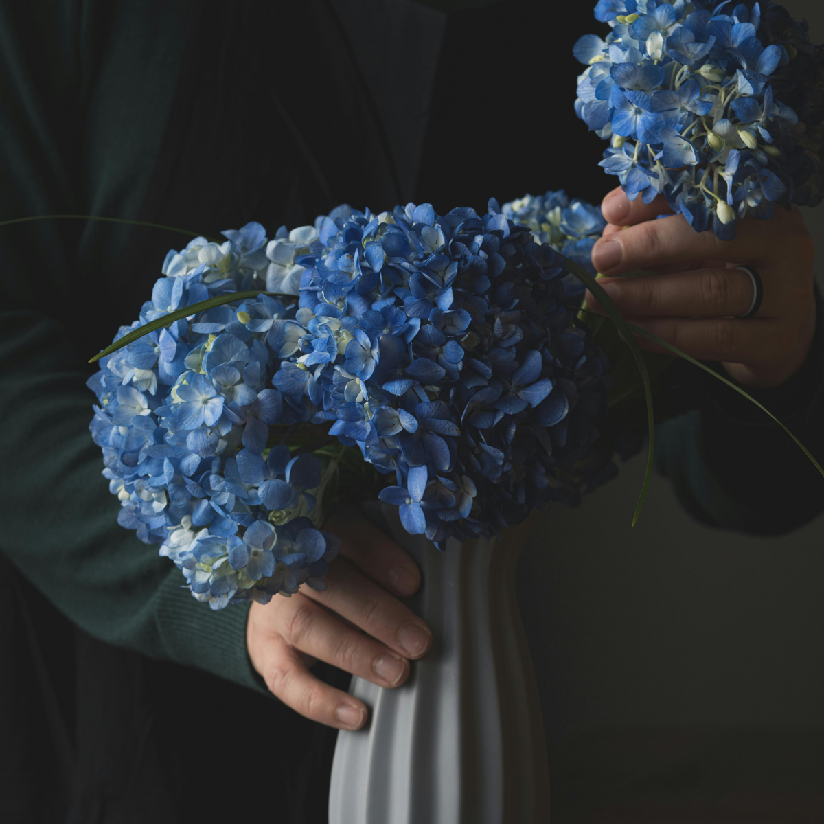 Person arranging Eos Blooms Preserved Hydrangeas in a white vase against a dark background.