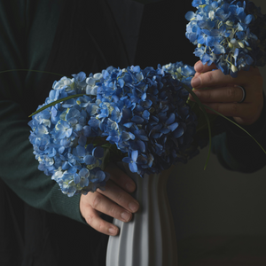 Preserved Hydrangeas