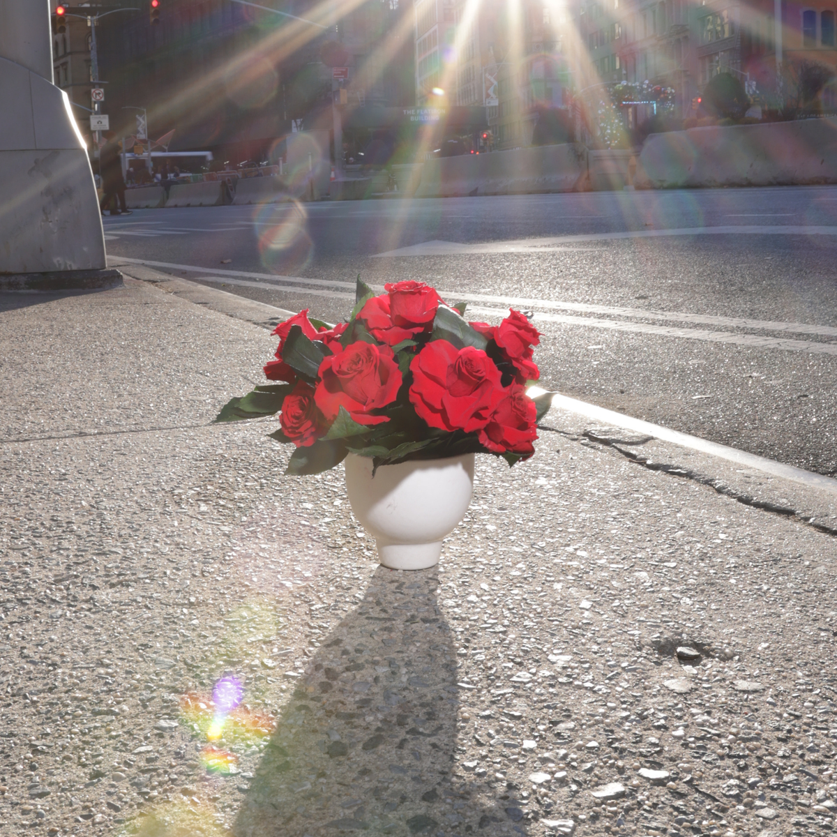 The Eden (Petite) by Eos Blooms sits on a sunny city sidewalk, casting a long shadow.