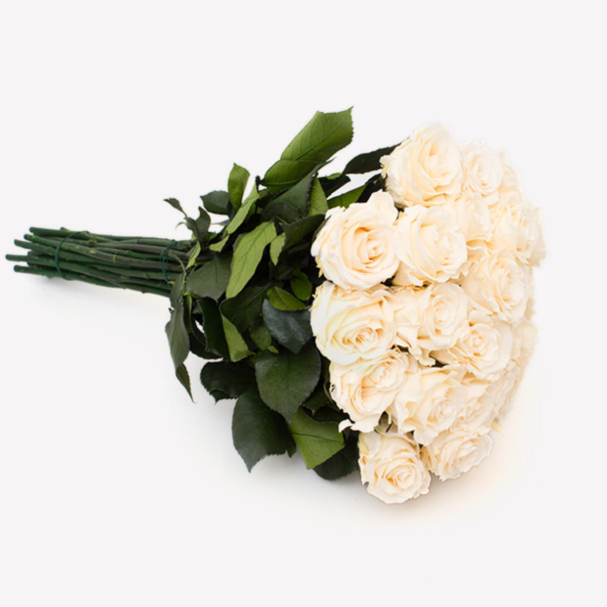 Love Story by Eos Blooms: preserved roses and green leaves on a white background.