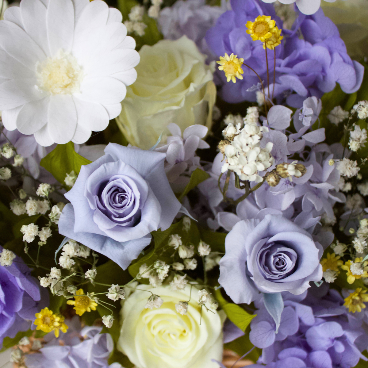 A bouquet of white, yellow, and purple flowers, including roses and daisies.