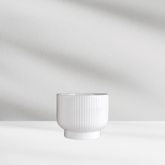The Eos Blooms Greenwich Ribbed Vase is styled on a white surface beside a ceramic bowl.