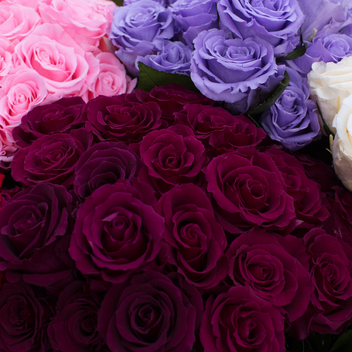 Eos Blooms' Love Story: pink, purple & burgundy preserved roses in a romantic bouquet.