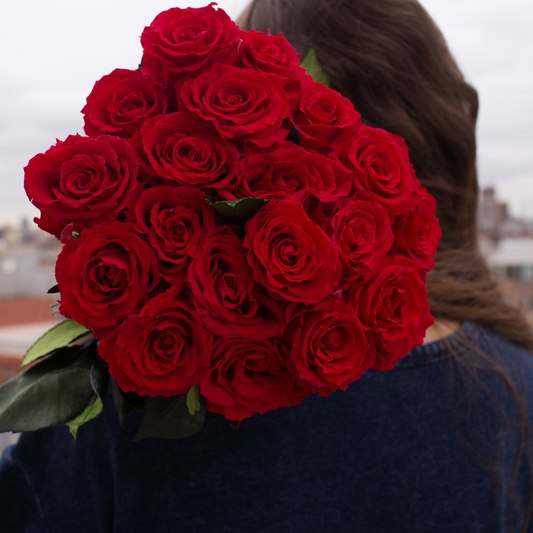 Person holding Eos Blooms Love Story bouquet, featuring romantic red long-stem roses.