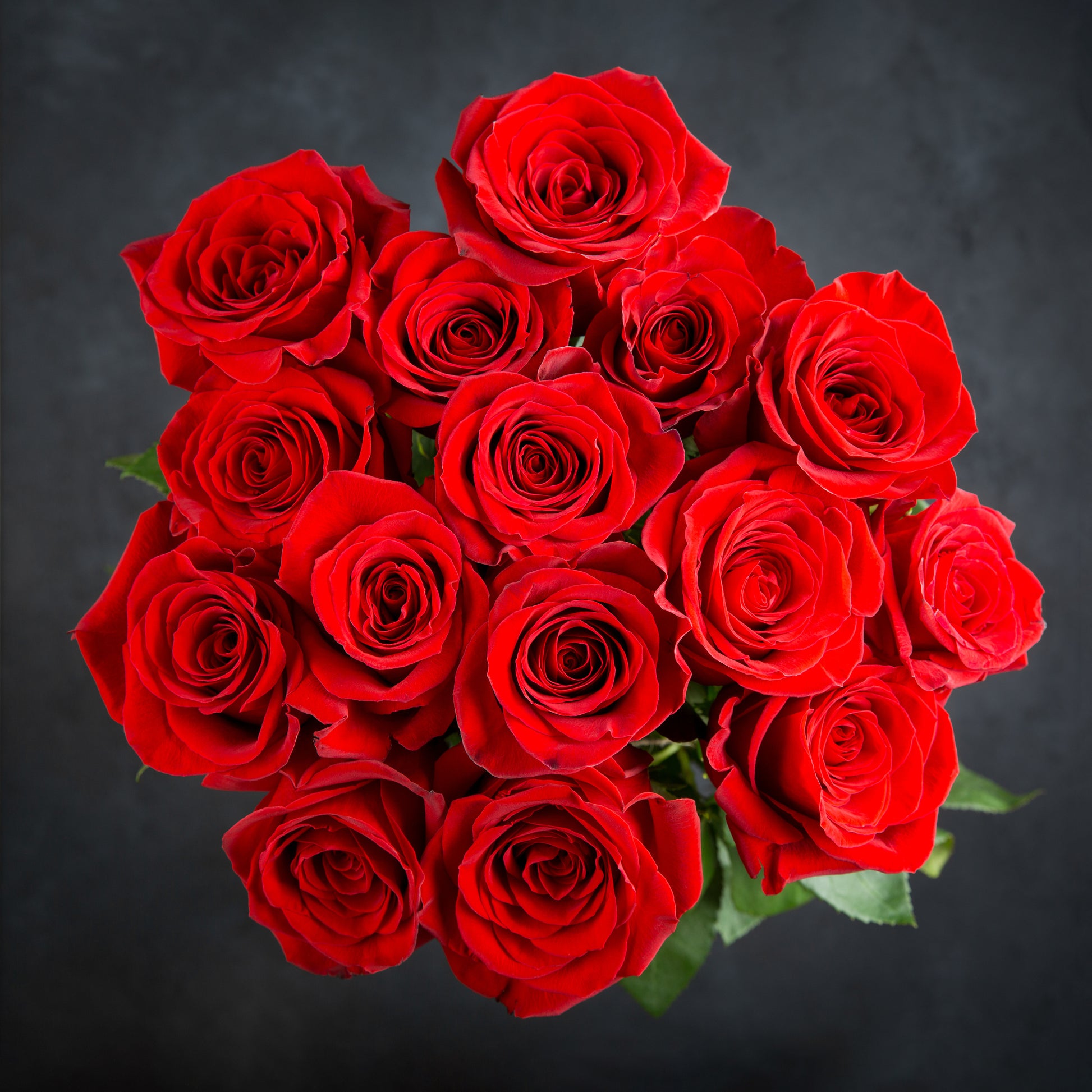 Bouquet of red roses on a dark background