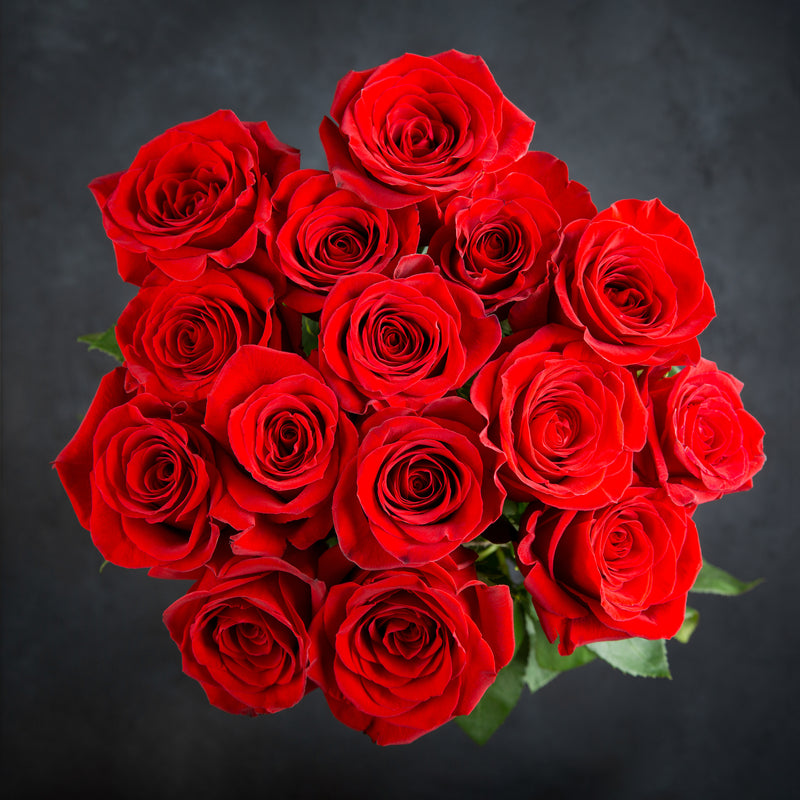 Bouquet of red roses on a dark background
